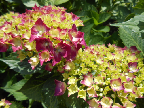 DSCN2618.JPG