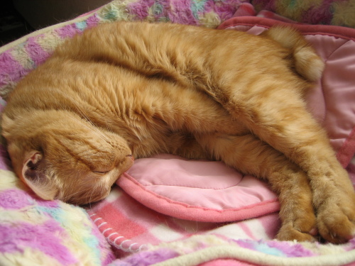 Oct. 25, 2015(2).JPG