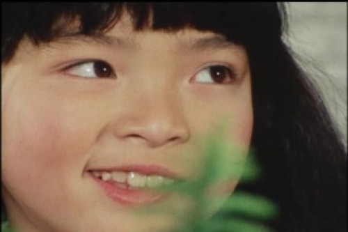 PDVD_006.jpg