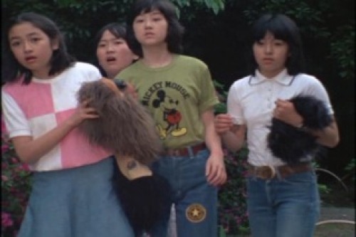 PDVD_010.jpg