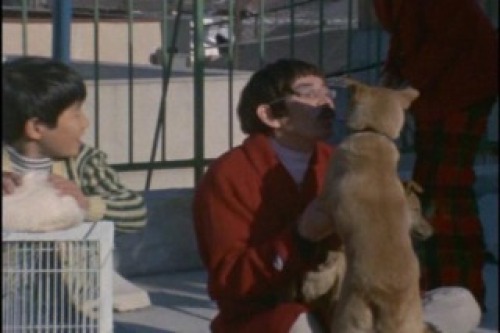 PDVD_052.jpg