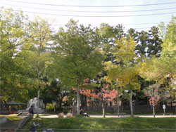 上杉4.jpg