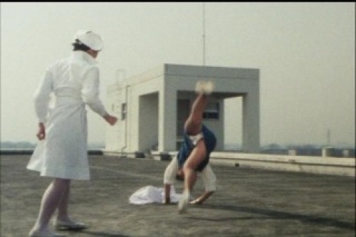 PDVD_011.jpg
