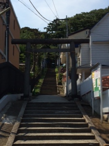 image5.JPG