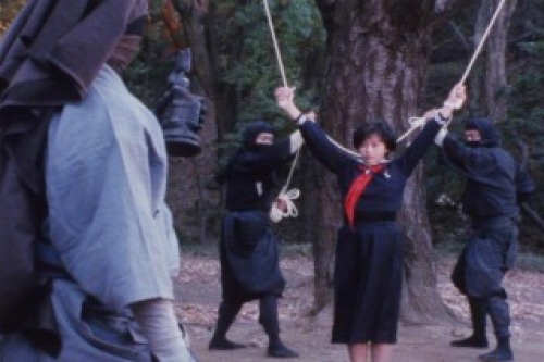 PDVD_017.jpg