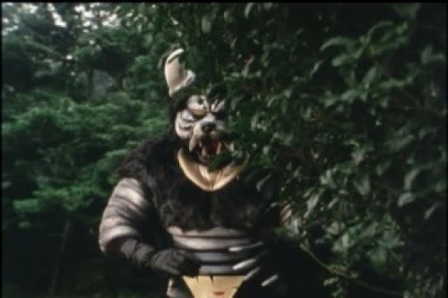 PDVD_003.jpg