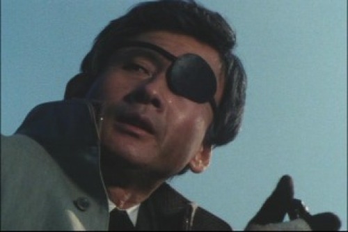PDVD_005.jpg