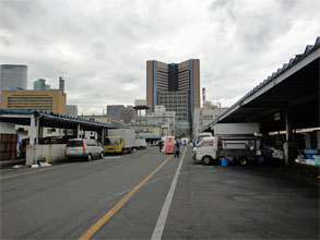 築地11.jpg