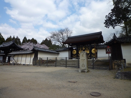 P1030825.jpg