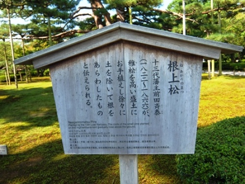 DSCF1151.JPG