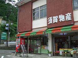 青根6.jpg