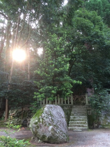 IMG_2624 (480x640).jpg