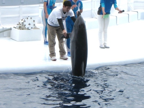 水族館14.jpg