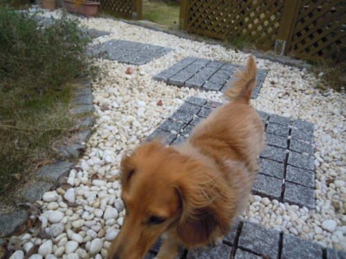 DSCN6837.JPG