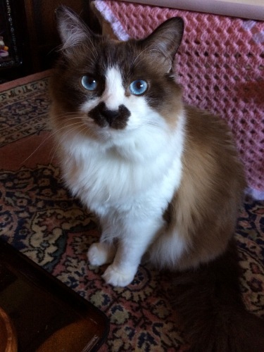 IMG_8355 - コピー.JPG