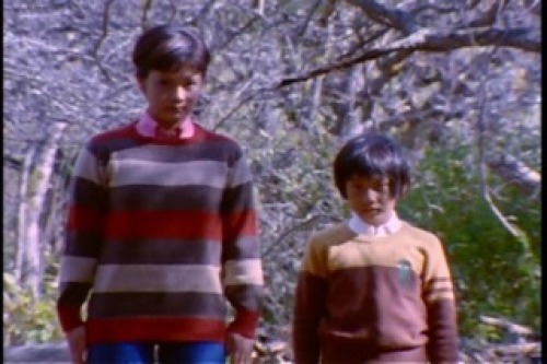 PDVD_014.jpg