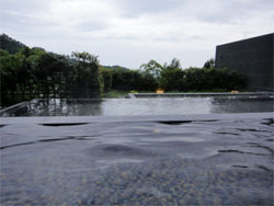 東鳳33.jpg