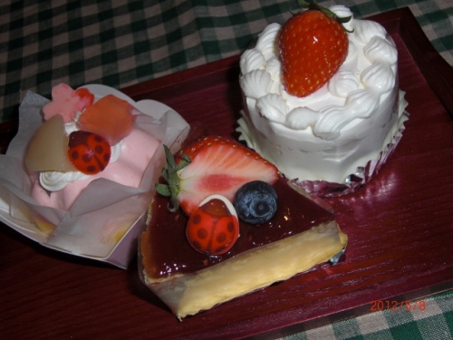 CIMG6069 (640x480).jpg