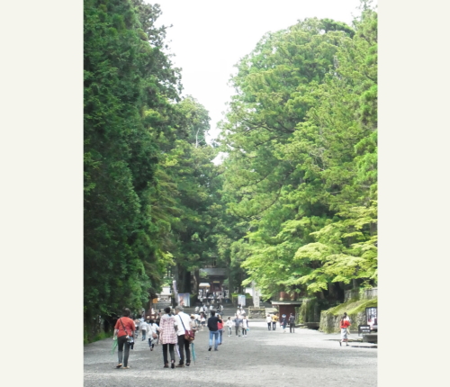06東照宮　表参道.jpg