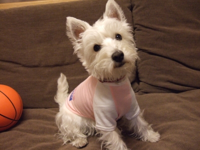 20100603.jpg