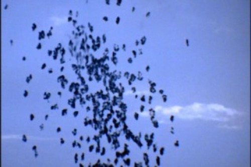 PDVD_001.jpg