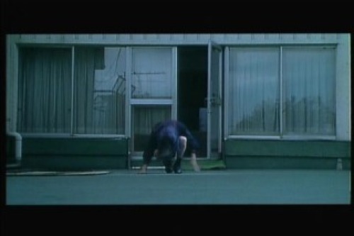 PDVD_082.jpg