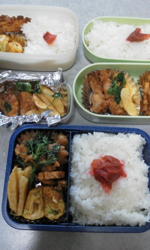 から揚げ弁当.jpg