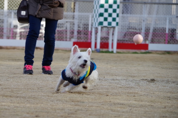 IMGP0178編集.jpg