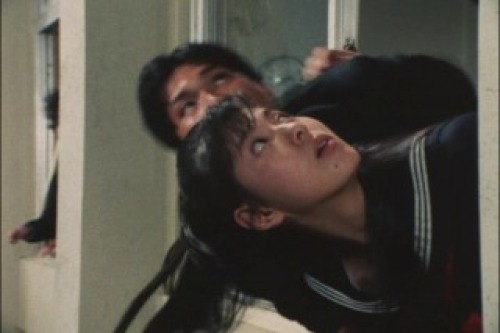 PDVD_014.jpg