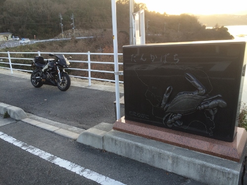 280117_7 (500x375).jpg