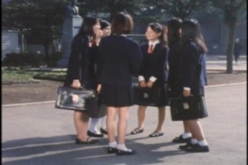 PDVD_013.jpg