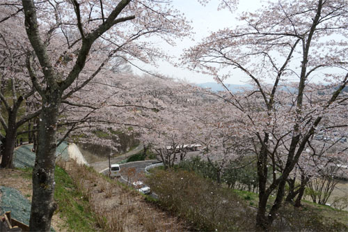 船岡34.jpg