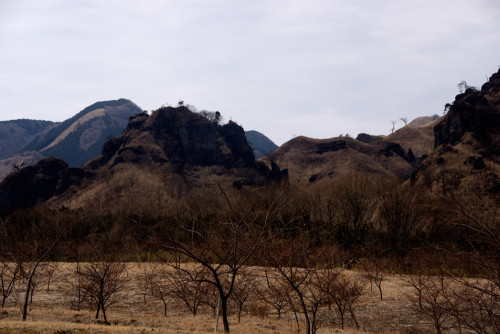 DSC_2715.JPG