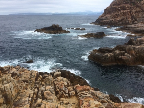 IMG_9583 (640x479).jpg