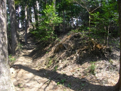 枡形山城土塁 (500x375).jpg