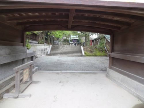 2.2016年桜 宮地嶽神社 (8).JPG