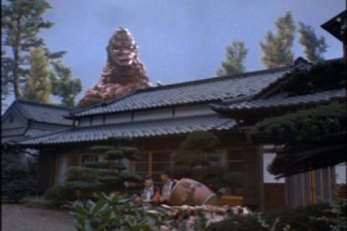 PDVD_016.jpg