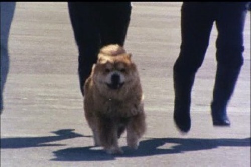 PDVD_025.jpg