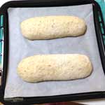 111231 成形時（二次発酵前）