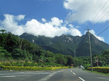 屋久島106.jpg