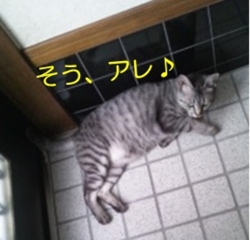20130810_5.jpg
