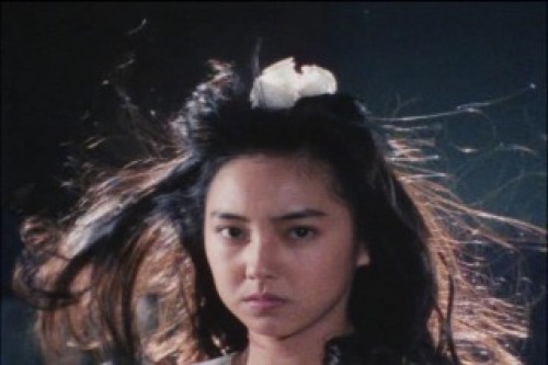 PDVD_180.jpg