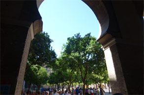 スペイン749.jpg