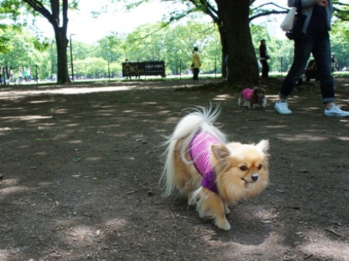 yomotsuku20120513-6.JPG