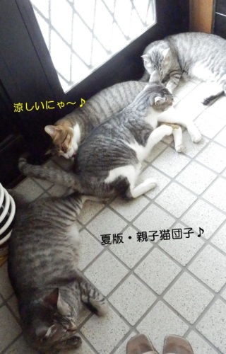 20150731_7.jpg