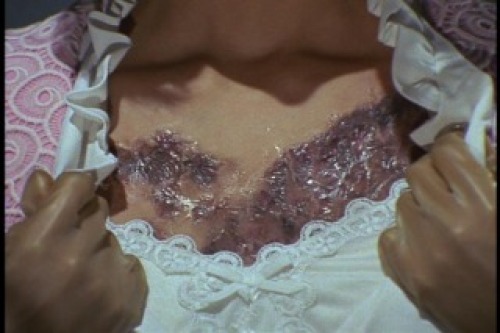 PDVD_020.jpg