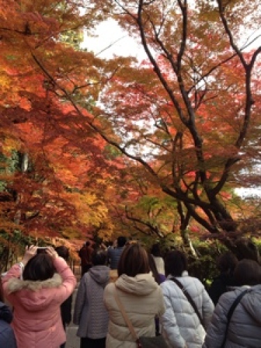 2013-11-27 10.26.52.jpg