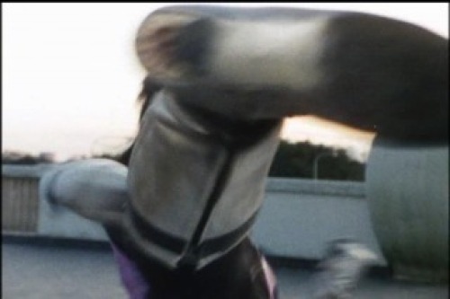 PDVD_013.jpg
