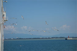 佐渡163.jpg