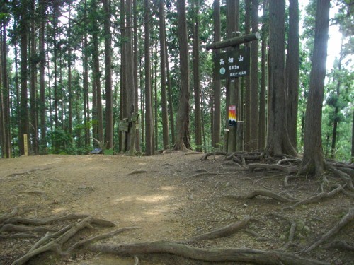 伊豆ヶ岳高畑山 (500x375).jpg